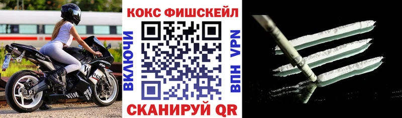 Купить  Сенгилей  КОКАИН Эквадор 