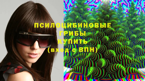 прущая мука Кинешма